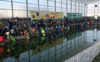 计算机网络从逻辑功能上看是由什么和什么组成的