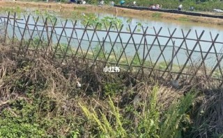 成都哪里有钓龙虾的地方