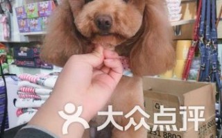 甘肃宠物学校