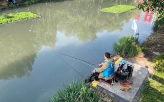 杭州西湖垂钓时间表