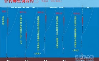 夜晚钓鱼视频教学