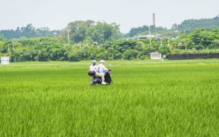 漫生活，享四季世园会中的漫诗地园艺之旅