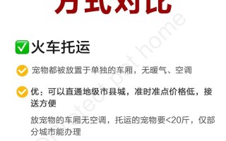 空运宠物有危险吗安全吗