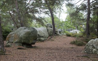 西安周边免费景区攻略，探索古都的自然美景