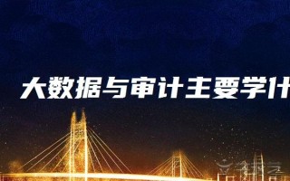 大数据审计公共管理专业就业前景