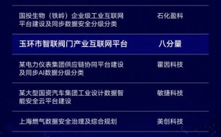 玉环大数据发展有限公司注入中捷资产