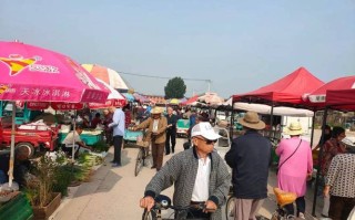 江顺垂钓园