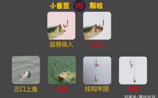 垂钓黑坑青鱼颗粒挂法