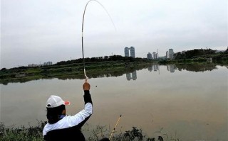 1.余姚市钓鱼爱好者俱乐部