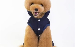 1.为什么选择Radica宠物衣服？
