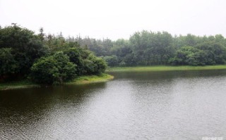 江河鲢鳙钓