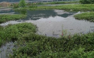 衢州钓鱼论坛