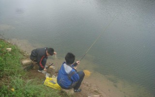 小雨钓浮还是钓底