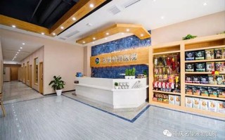 江北宠物店联系方式
