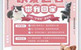 建立与宠物的信任：重要性及技巧