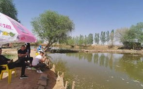 涪陵花果山农庄怎么样
