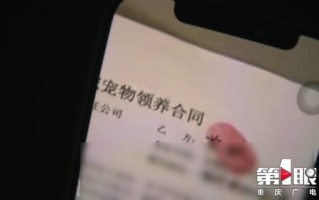 宠物店股份合作协议怎么写