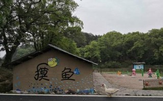 新桥镇幼儿园哪个好