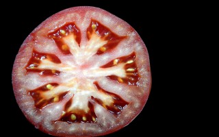 深入探索百度百科，了解、使用和贡献知识的力量