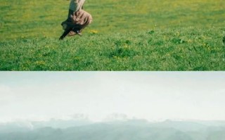 影旅融合点燃县域经济的新引擎