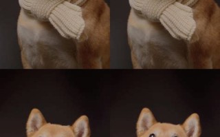 光点舞蹈教学视频完整版