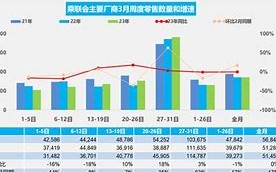 大降价策略中国市场的销量狂潮