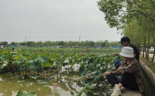 古塘村垂钓中心电话