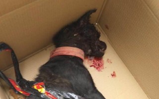 1.立即平息孩子的情绪