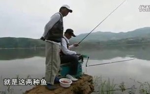 垂钓违法
