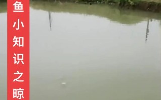 垂钓和钓鱼的区别