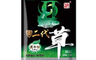 钓青鱼的最佳饵料配方