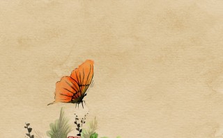 视频边框素材免费下载，为你的视频创作添彩