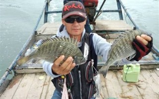 鲤鱼最佳垂钓时间