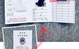 1.宠物健康证明
