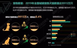 宠物行业就业岗位