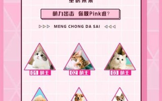 宠物线上活动