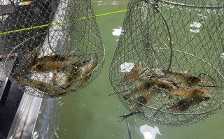 海口淡水鱼垂钓地址