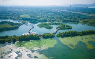 添喜垂钓园