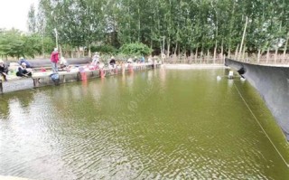 华兴钓鱼休闲会所