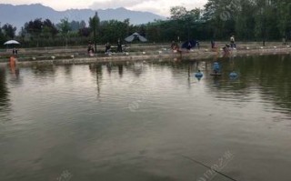 天津南湖可以钓鱼吗