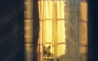 暴跌19℃！降温排行榜揭示冷空气的猛烈程度