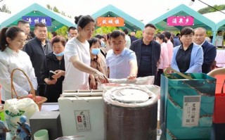 洮阳镇农文旅融合下的乡村振兴新篇章
