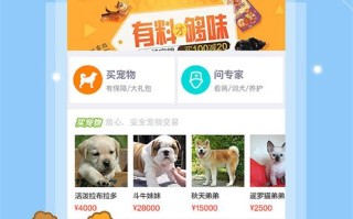社区宠物活动
