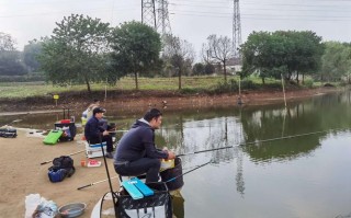昭通摘苹果