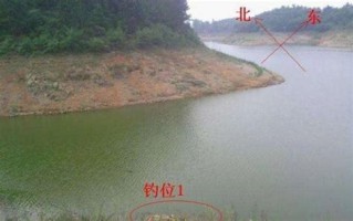 晚春钓位选择