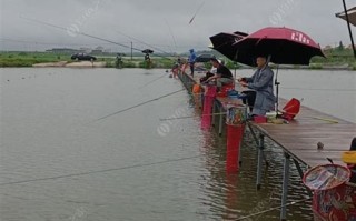 老庄子火锅怎么样