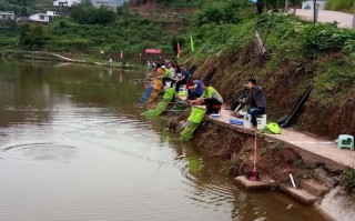 法律法规