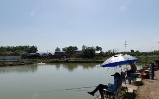 郧西县五龙河景区门票