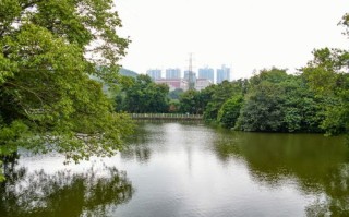 垂钓园钓鱼告示牌