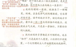 垂钓准备